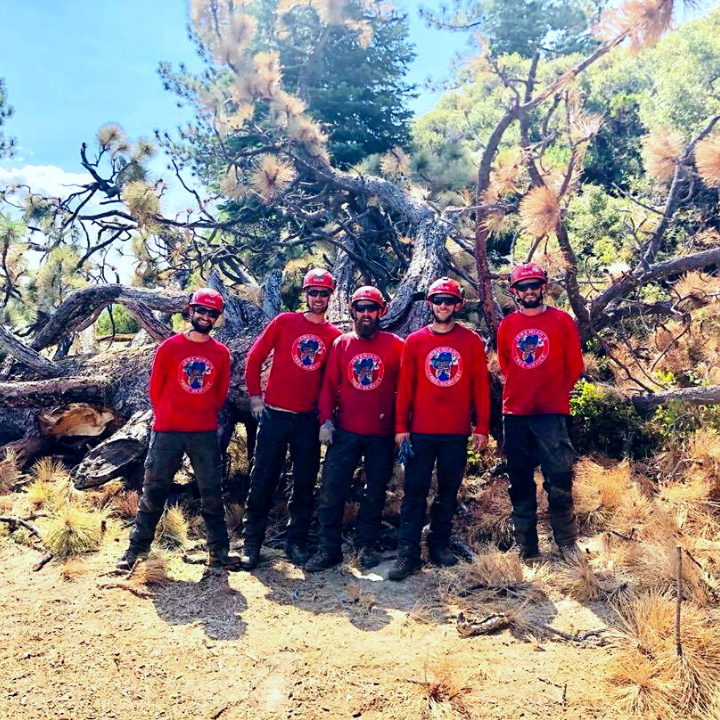 Jeremiah's Tree Service business image in Reno, nevada